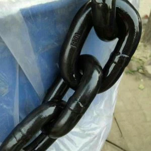 Chain G80 Chain Gwo Devwa