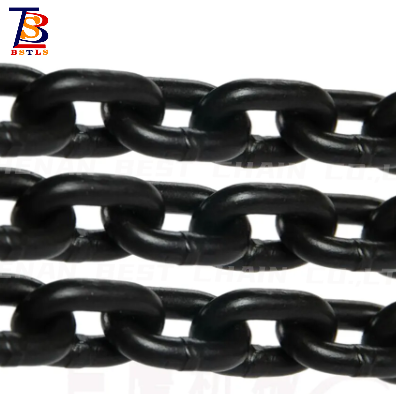 Persistent Security G80 Lifting Chain