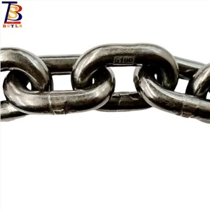 Endistriyèl Transmèt G100 Chay Chain Faktori apwovizyone
